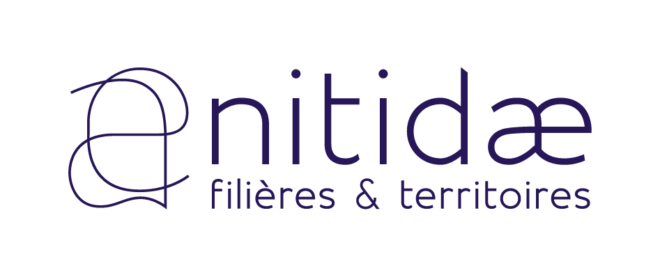Logo Nitidae